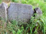 image of grave number 599620